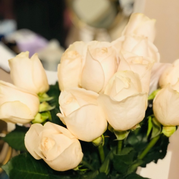 Meet your Posher, Jesh - Picture 3 of 6